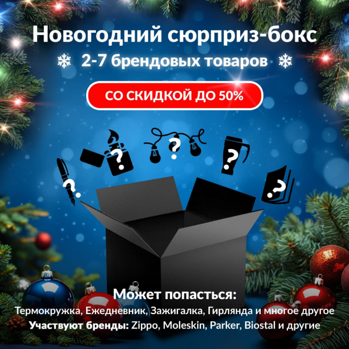 Новогодний сюрприз-бокс BRESSER 2 bre-gift-ng-2 Новогодний сюрприз-бокс BRESSER 2 bre-gift-ng-2